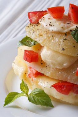 Mozzarella peyniri, domates ve fesleğen makro dikey ile fırında patates