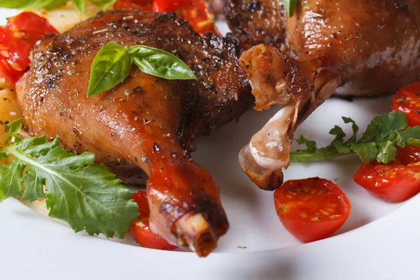 Roasted duck legs with tomato and arugula macro horizontal — Stock Photo, Image