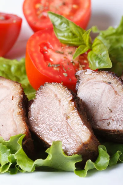 Baked duck meat fillet with vegetables vertical — Stock Photo, Image