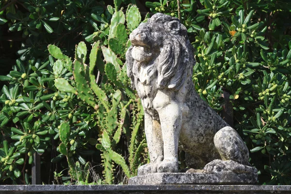 Oude stenen beeld van een leeuw in de tuin — Stockfoto