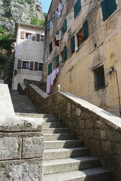 Rue étroite avec escalier en pierre dans la vieille ville de Kotor — Photo