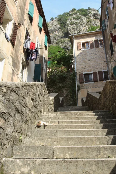 Straat in de oude stad van Kotor, Montenegro — Stockfoto