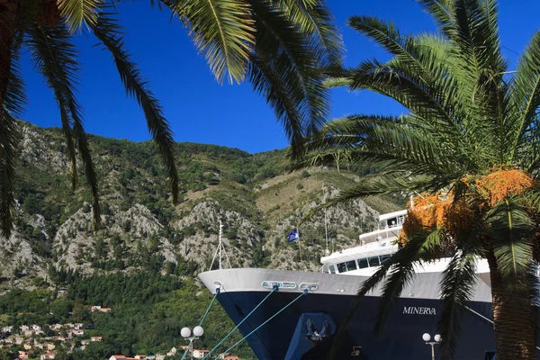 Blick auf den Liner "minerva" durch die Blätter der Palme — Stockfoto