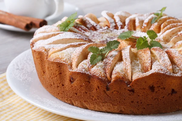 Tasty apple pie with mint and cinnamon on a white plate macro — Stock Photo, Image