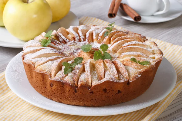 Jablkový koláč se skořicí a máta na detailním deska — Stock fotografie