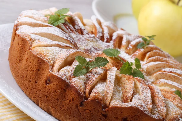 Apfelkuchen mit Zimt und Minze Nahaufnahme — Stockfoto