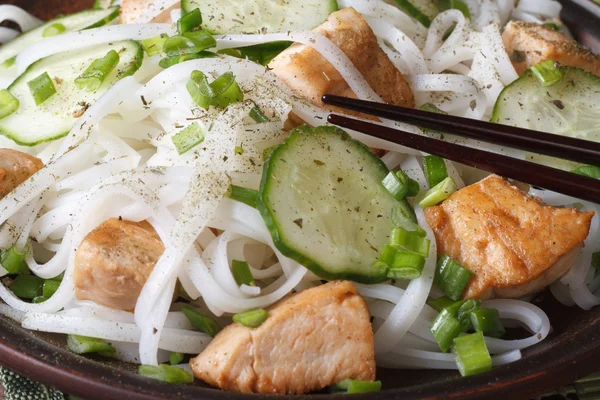 Tagliatelle di riso asiatico con pollo e cetrioli macro — Foto Stock