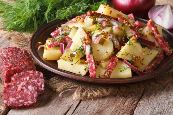 Немецкий картофельный салат на тарелке и ингредиенты, горизонтальный — стоковое фото