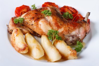 Elma ve bir plaka yakın çekim domates ile kavrulmuş tavşan bacak
