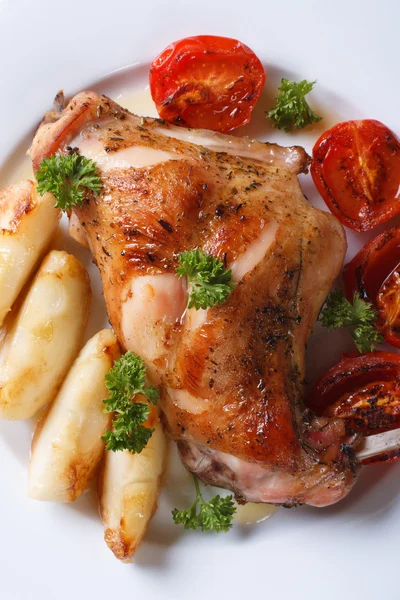 Roasted rabbit leg with apples and tomatoes macro. Vertical — Stock Photo, Image