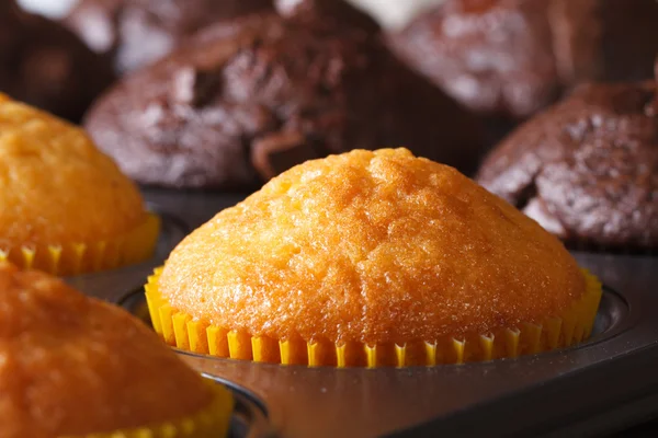 Vanilla and chocolate muffins in baking dish on a table macro — Stock Photo, Image