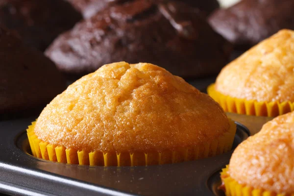 Yellow and brown cupcakes in a baking dish on a table macro — Stock Photo, Image