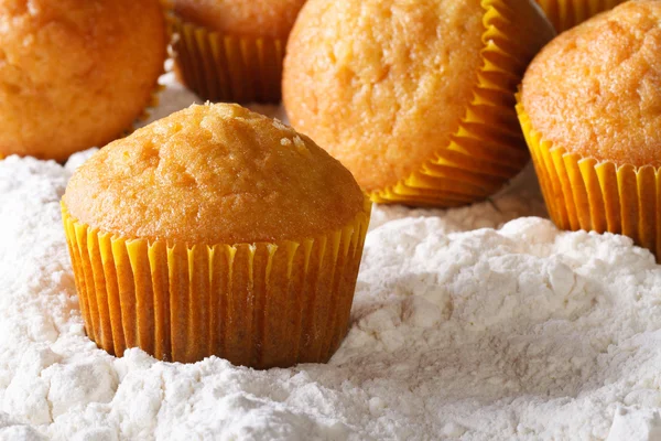 Orange muffins closeup in powdered sugar. horizontal — Stock Photo, Image