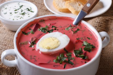 Yumurta ve otlar closeup ile soğuk pancar çorbası. Yatay