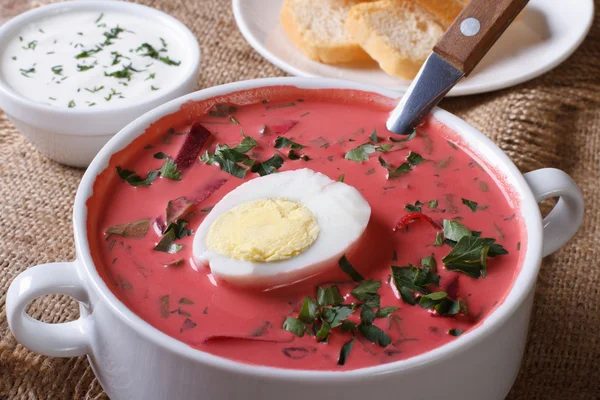 Cold beet soup with egg and herbs closeup. horizontal — Stock Photo, Image