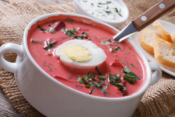 Deliciosa sopa de remolacha roja con huevo y crema agria de cerca — Foto de Stock