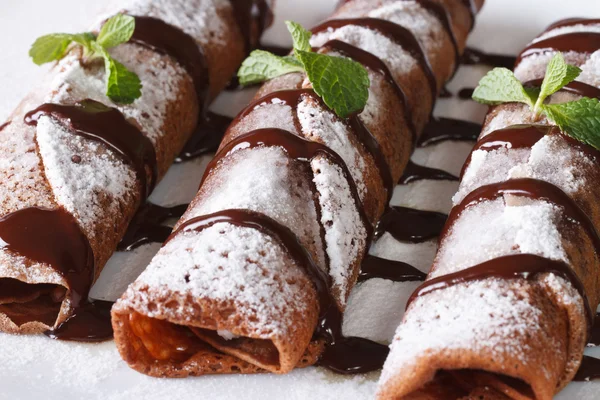 Chocolate Pancakes with sauce and mint close up horizontal — Stock Photo, Image