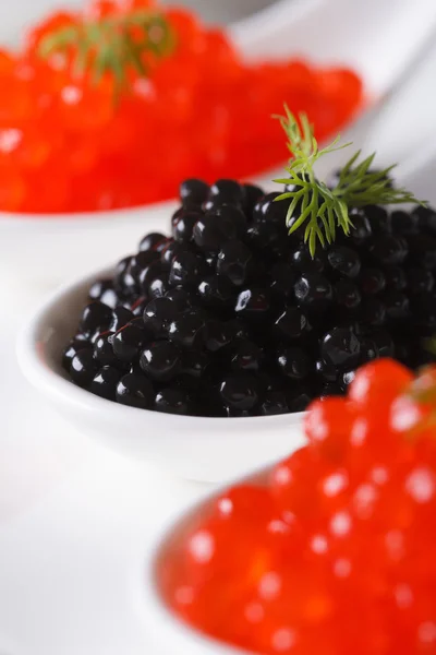 Delicacy black and red caviar macro in white spoons. Vertical — Stock Photo, Image