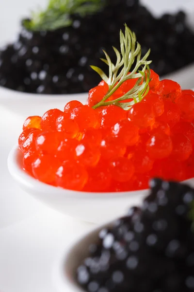 Red and black caviar in spoon macro. vertical — Stock Photo, Image