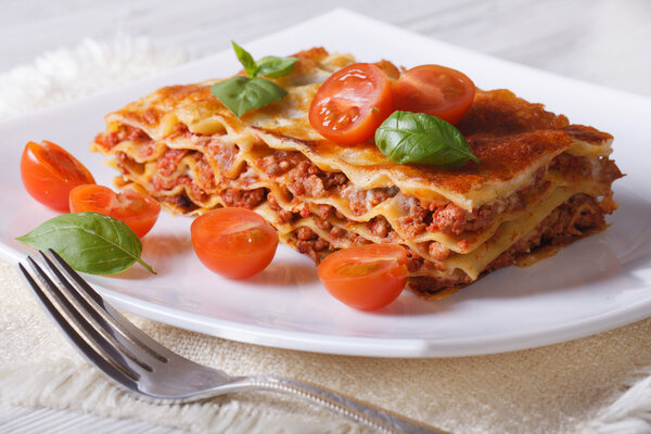  lasagna with basil and tomatoes  on a white plate. horizontal 