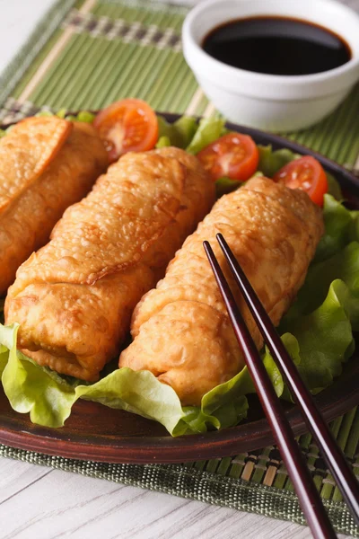 Lumpia goreng di piring close-up dan saus. Vertikal — Stok Foto