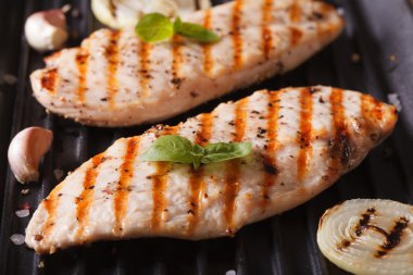 Tavuk fileto ızgara portre üzerinde soğan ile. Yatay