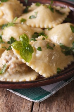 Sıcak mantı ve fesleğen closeup bir plaka üzerinde. dikey, rustik