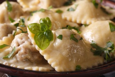 İtalyan Mantısı otlar makro ile bir tabakta. Yatay 