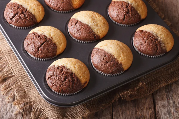 Muffins de duas cores em assadeira closeup prato. Horizontal — Fotografia de Stock