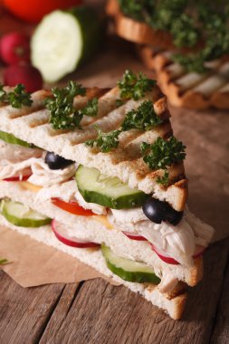 Tost tavuk, sebze ve malzemeler, dikey closeup ile