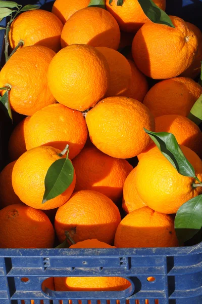 Naranjas frescas primer plano en el recipiente. fondo vertical — Foto de Stock