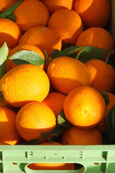 Naranjas frescas primer plano en el mercado. vertical — Foto de Stock