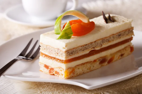 Delicioso bolo de damasco em um close prato — Fotografia de Stock