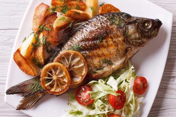 Grilled fish with fried potatoes and salad horizontal top view — Stock Photo, Image