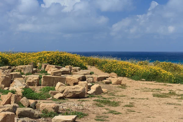 Scavi archeologici a Cipro. Vista mare . — Foto Stock