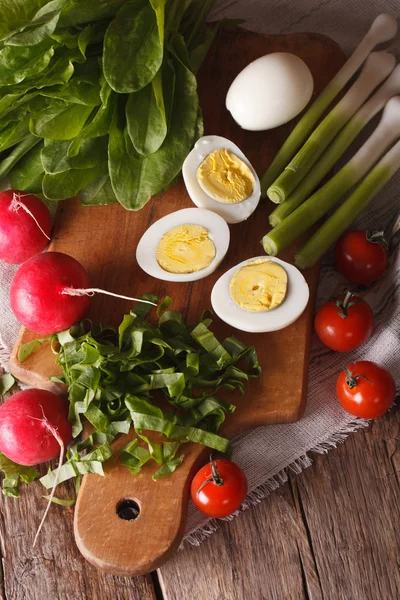 Ingredientes para el primer plano de ensalada de primavera. vista superior — Foto de Stock