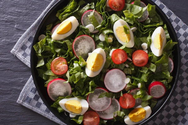 Taze salata ile yumurta, turp ve otlar yatay Üstten Görünüm — Stok fotoğraf