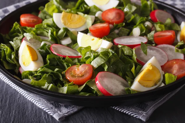 Ensalada con huevos y verduras de primavera de cerca, horizontal — Foto de Stock