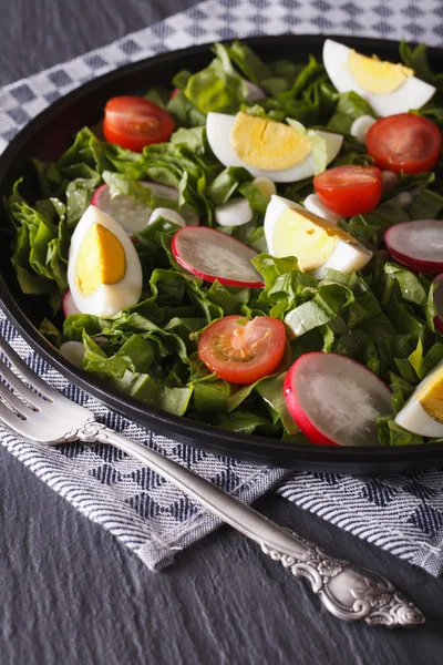 Salade van eieren, radijs en zuring close-up verticaal — Stockfoto