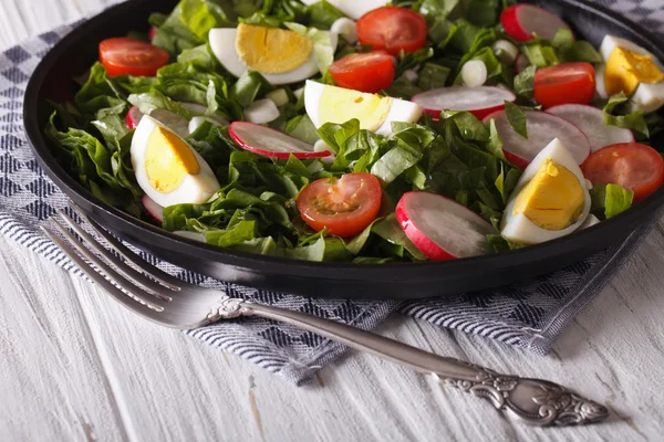 Свежий весенний салат с яйцами, помидорами, редиской и травами — стоковое фото