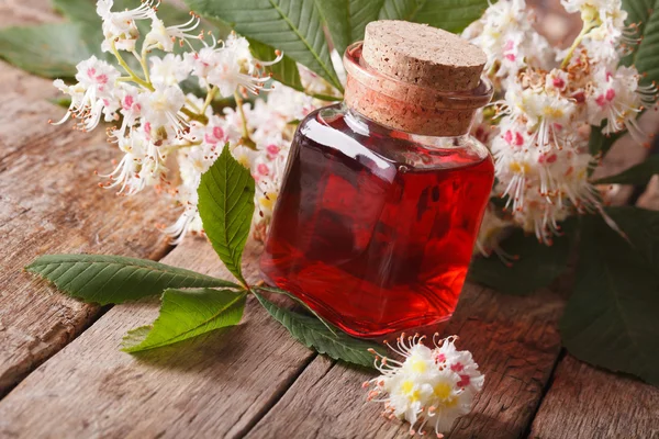 Teinture médicale de fleurs châtaigne dans une bouteille horizontale — Photo