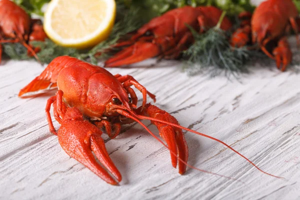 Kokta kräftor på ett bord på nära håll. Horisontella — Stockfoto