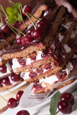 piece of cherry cake with chocolate macro. vertical