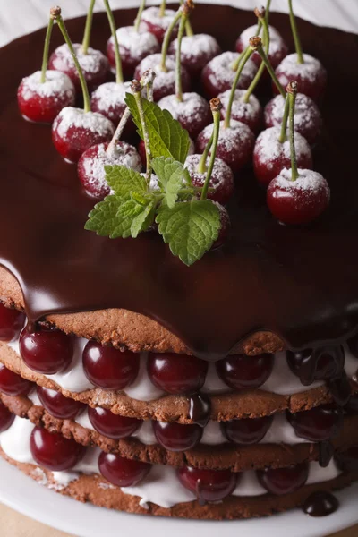 Cake with fresh cherries and chocolate vertical macro — Stock Photo, Image