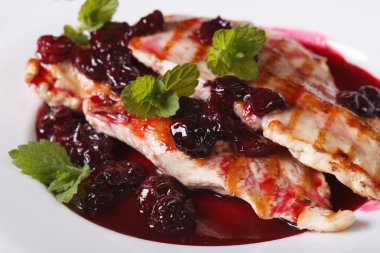 Grilled chicken fillet with cherry sauce on a plate macro. Horiz