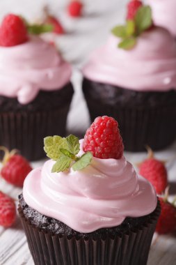 Ahududu makro ile güzel çikolata cupcakes. Dikey