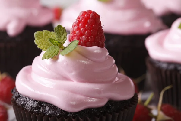 Belos cupcakes de chocolate com macro framboesa. horizontal — Fotografia de Stock