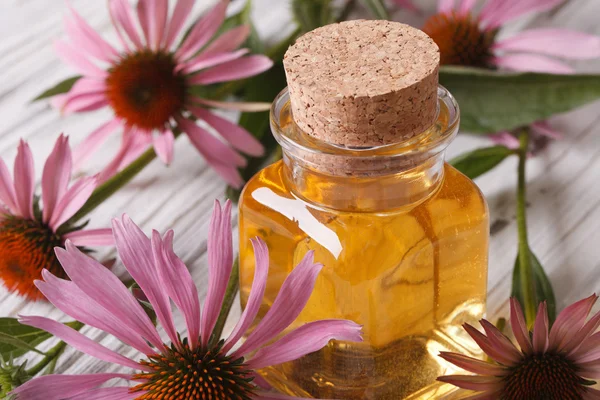 Essence of Echinacea purpurea macro in a glass bottle — Stock Photo, Image