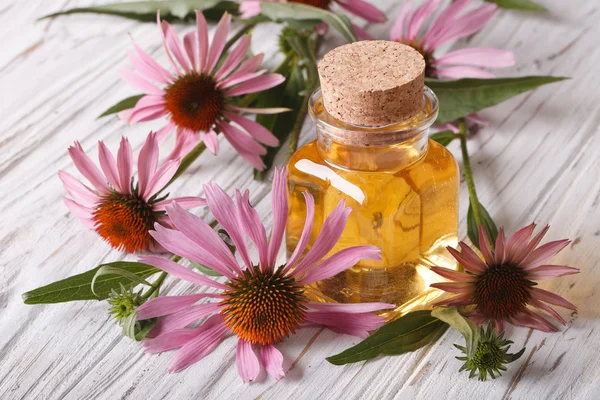 Voňavé lékařské tinktury Echinacea purpurea closeup — Stock fotografie