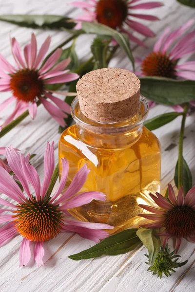 Medical tincture of Echinacea purpurea closeup vertical — Stock Photo, Image